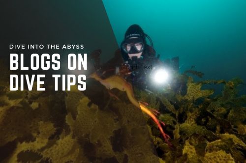 Dive Tips