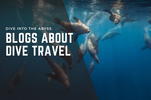 Dive Travel Blogs
