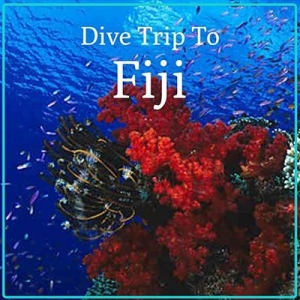 Fiji Dive Holiday