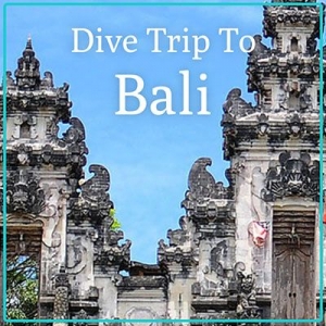 Bali Dive Holiday