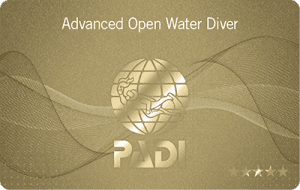 Advanced Openwater Diver
