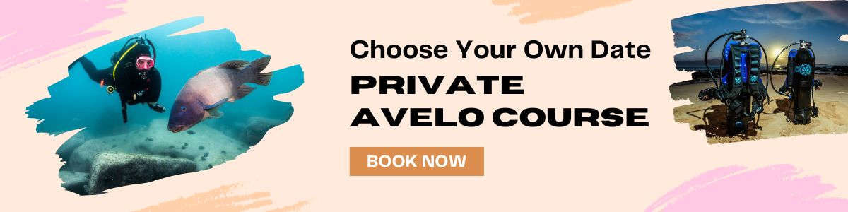 Book a Private Avelo Course