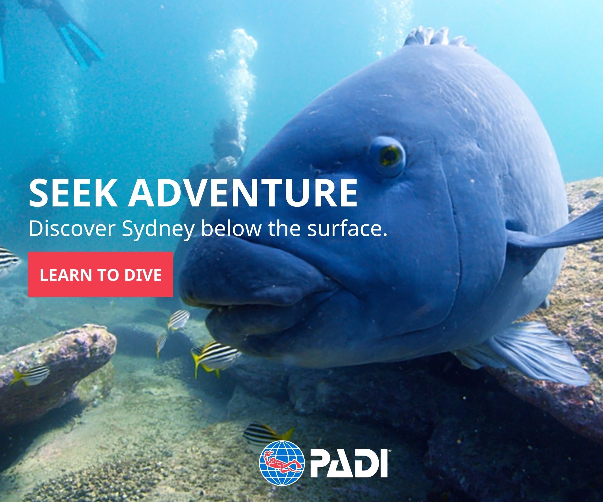 Seek Adventure in Sydney