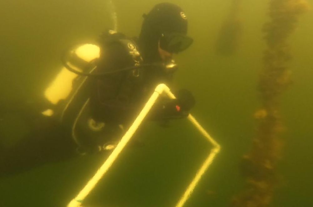 A diver in full gear, performing a dive for scientific purposes in restricted visibility water