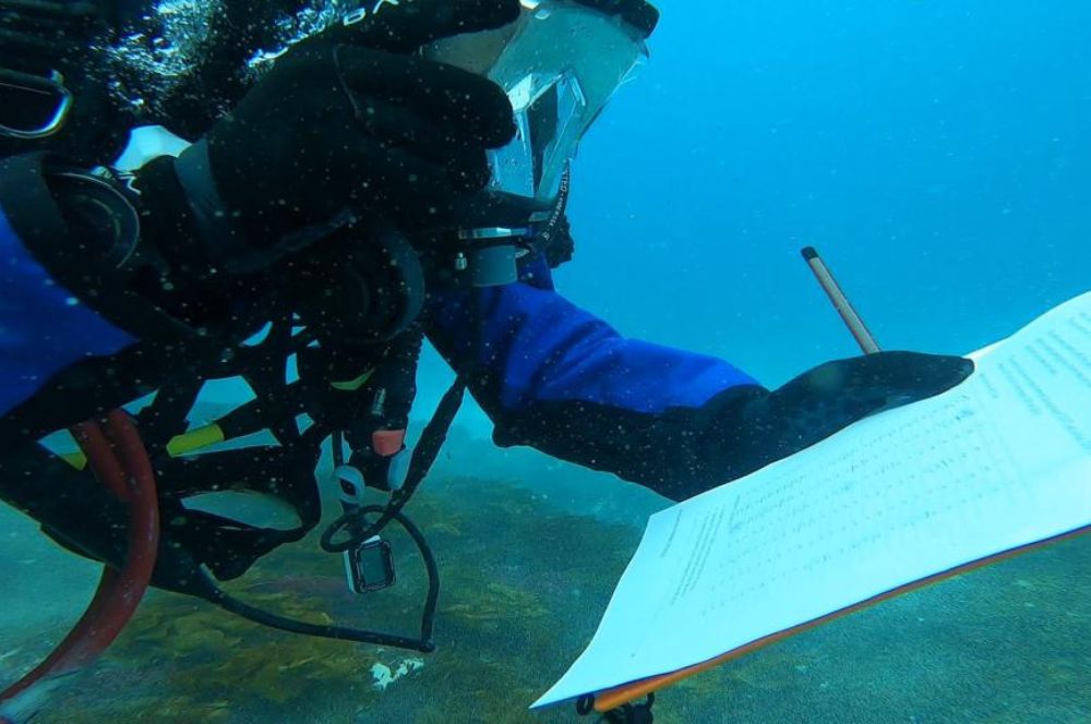 A diver in full gear, performing a dive and recording data