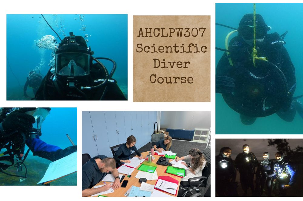 Unravel the AHCLPW307 Scientific Diver…