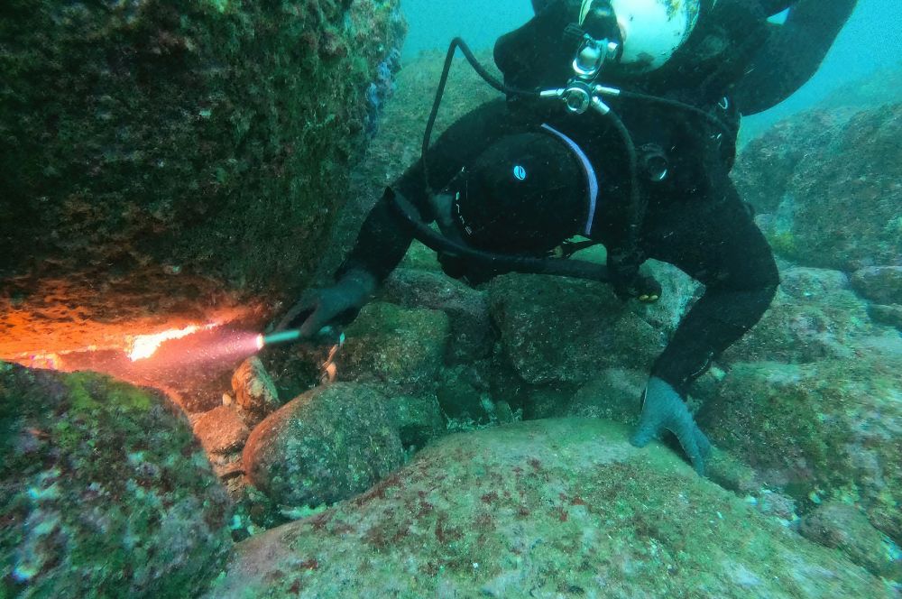 Dive lights are beneficial during daytime dives