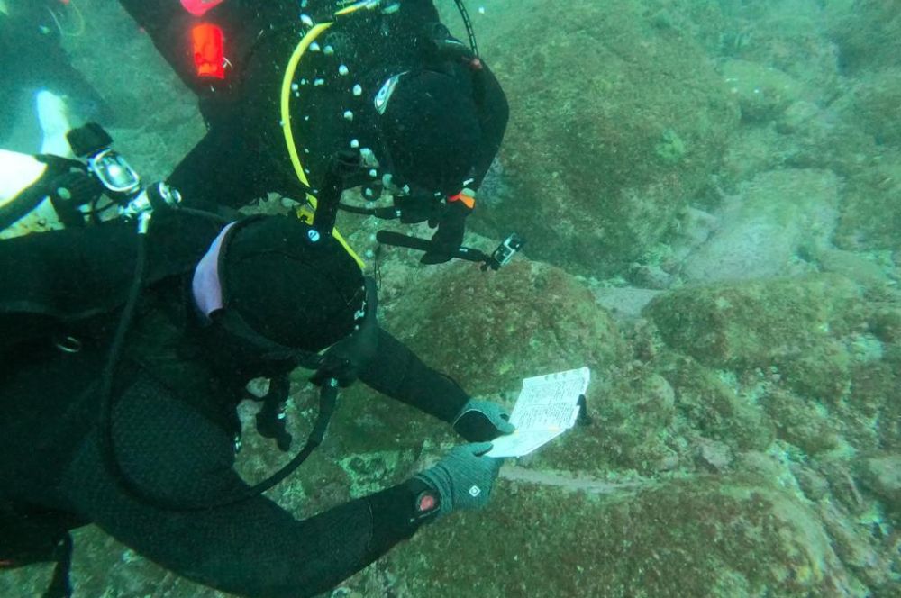 Scuba divers communicating using a dive slate underwater