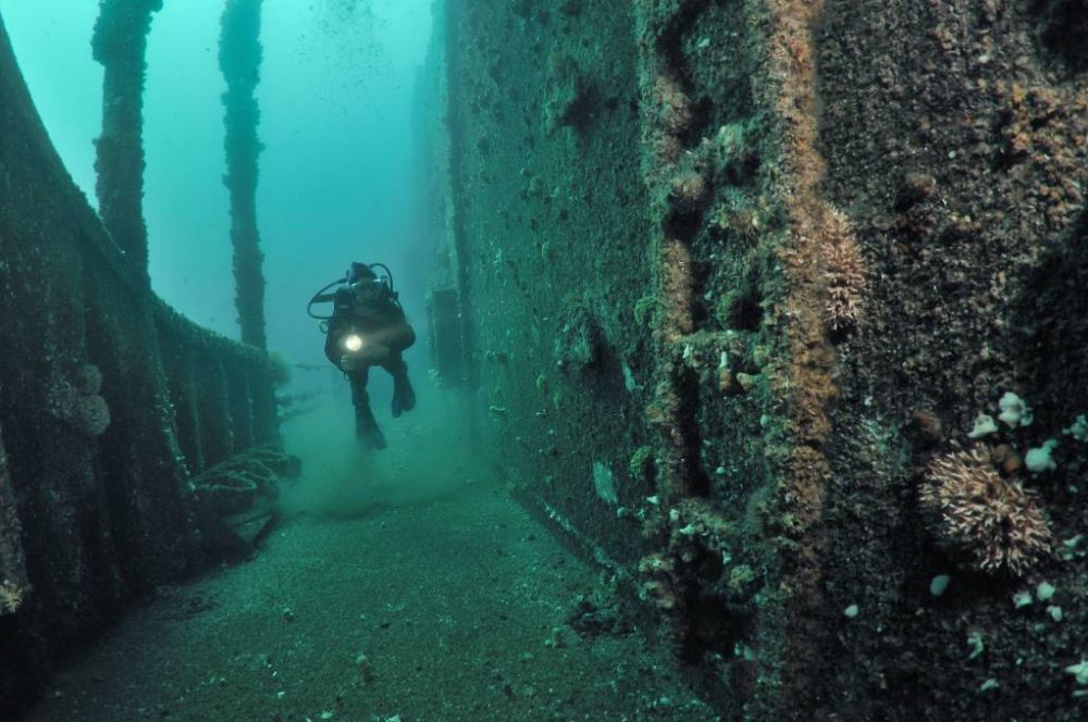 A diver exploring the Ex HMAS Adelaide dive site