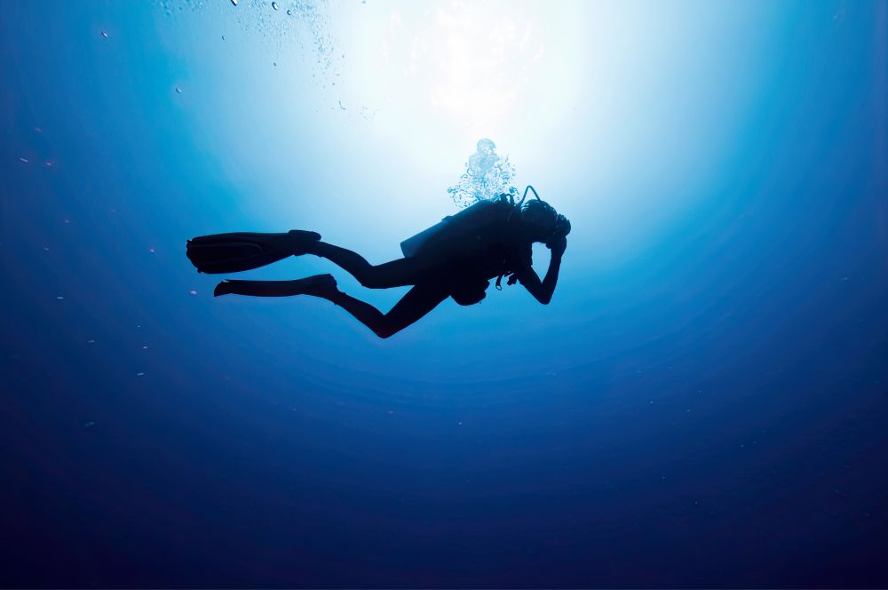Scuba diving, an adventure that transports you the underwater world