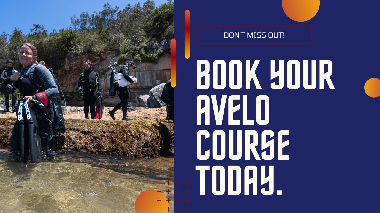 Book an Avelo Dive Course today