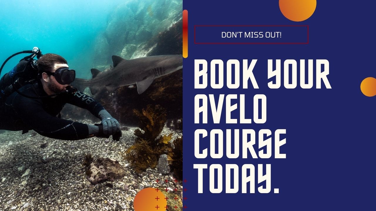 Click to Book your Avelo Dive Course