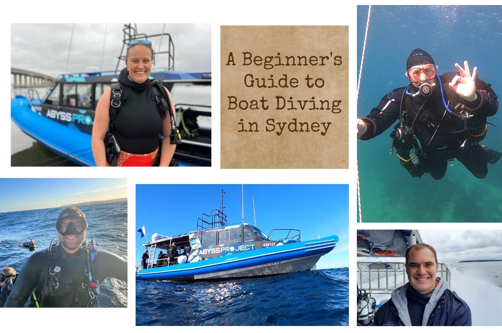 Sydney Boat Diving: Your Beginner's…