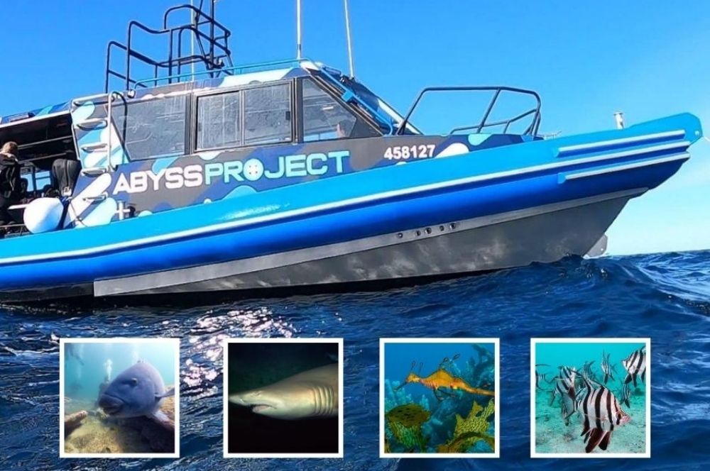 A Dive Boat For Sydneys Needs