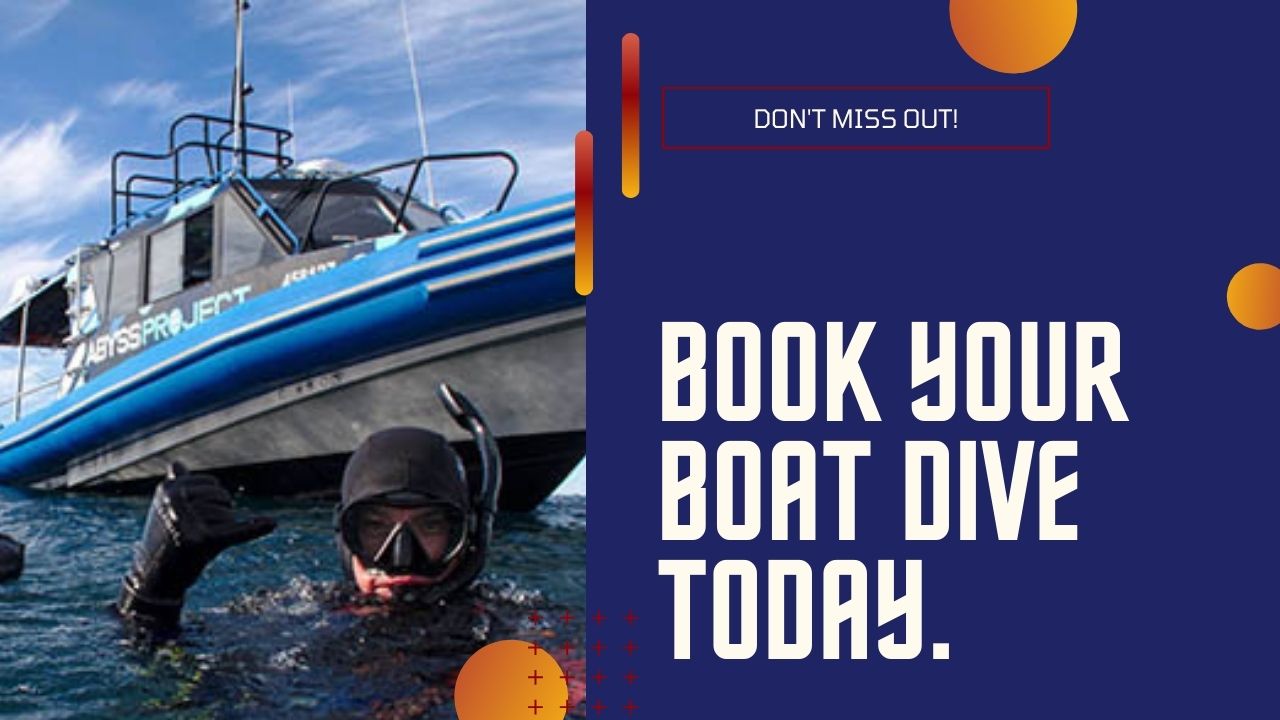 Book your boat dive today