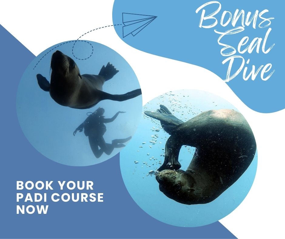 Book your open water course, now!