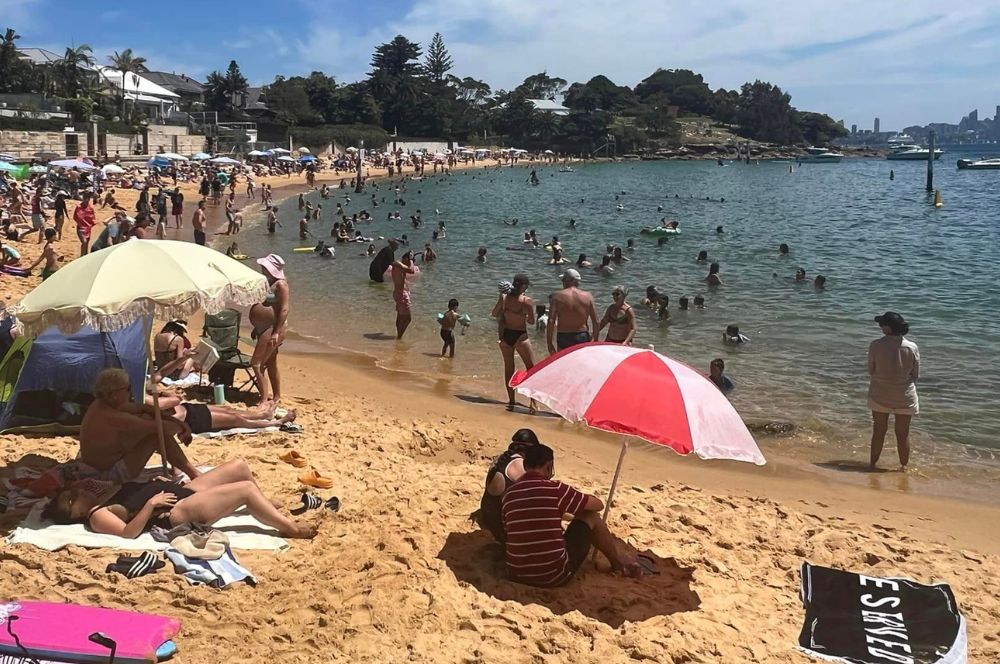 Families enjoying safe swimming at Camp Cove Beach in Sydney Harbour National Park