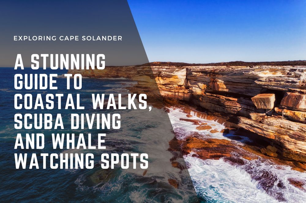 Explore Cape Solander: Scuba Diving, Whale Watching, And Coastal Walks