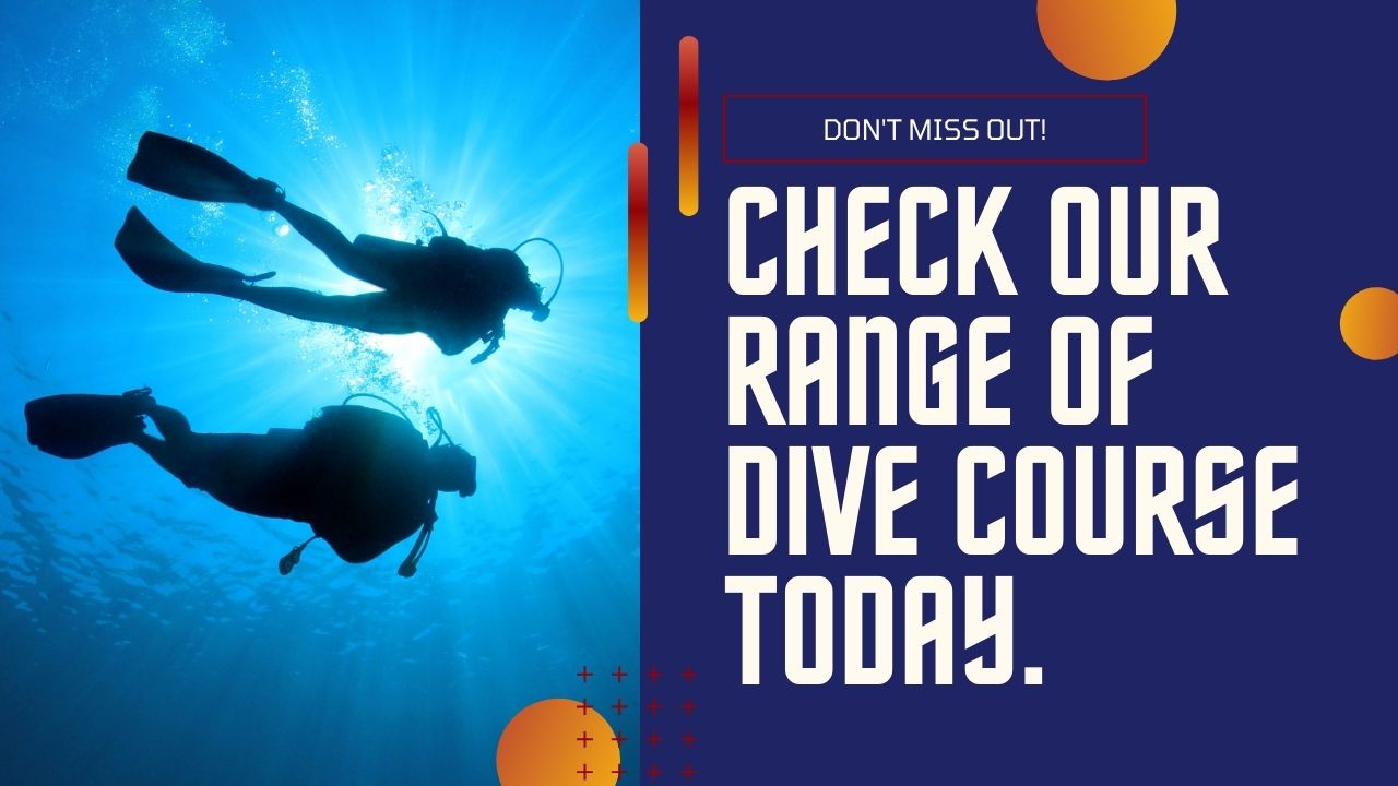 Our Range of Dive Courses