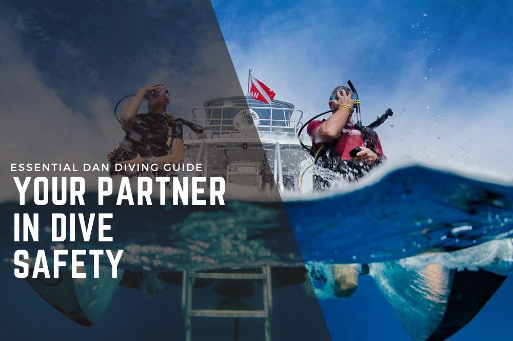 Essential Dan Diving Guide: Your Partner In Dive Safety | Divers Alert Network