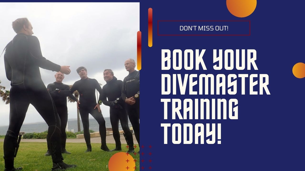 Book your Divemaster training today!