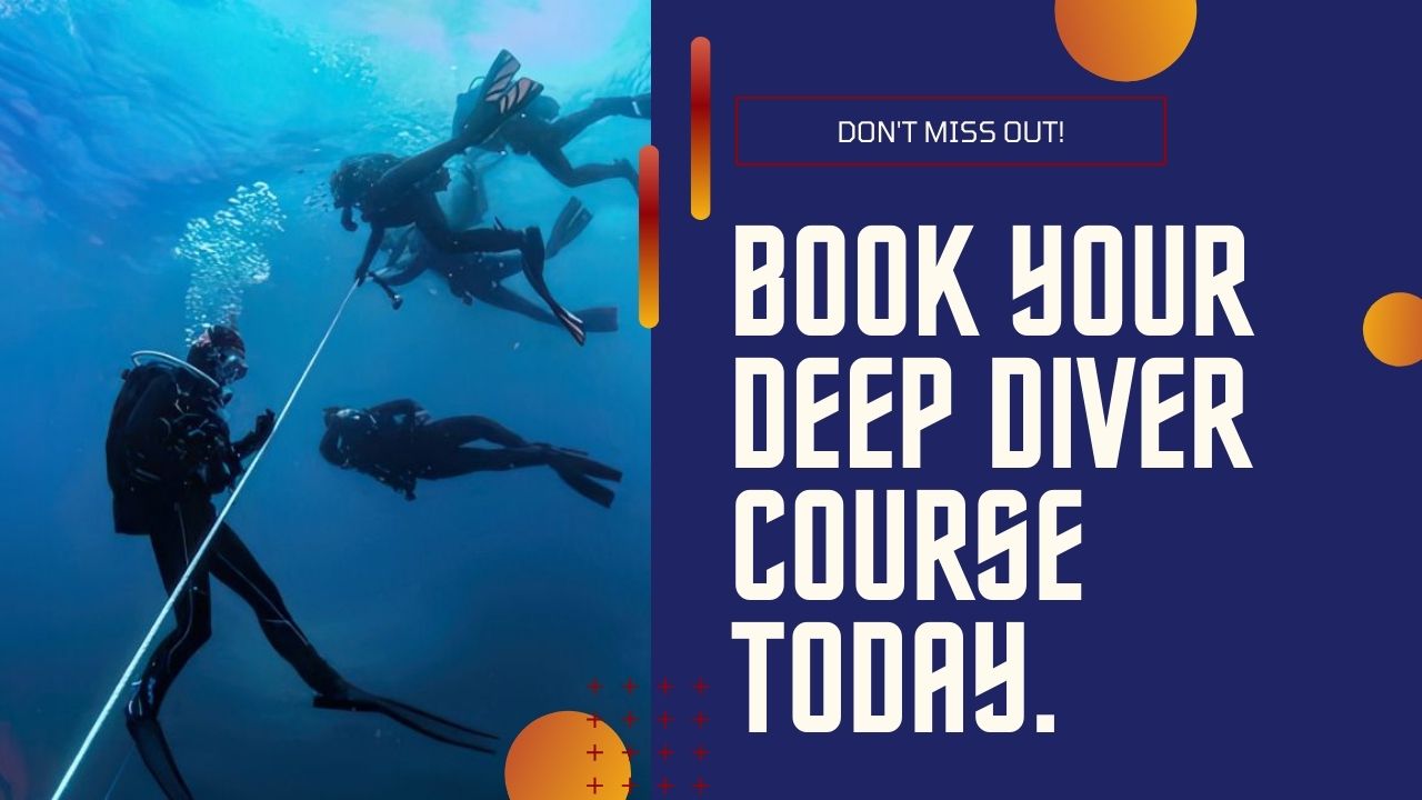 Book your Deep Diver Training Today