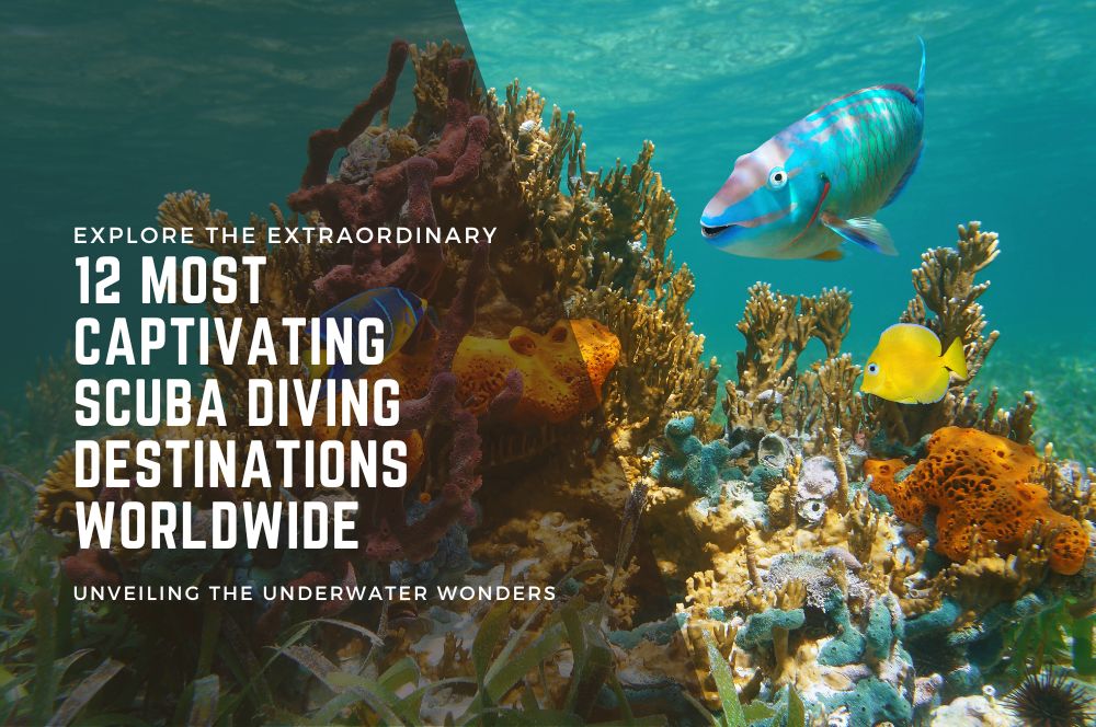 Explore The Extraordinary: 12 Most Captivating Scuba Diving Destinations Worldwide