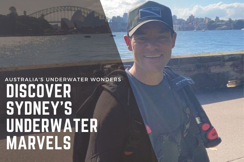 Australia's Underwater Wonders: Discover Sydney's Underwater Marvels On Your Way To The Great Barrier Reef