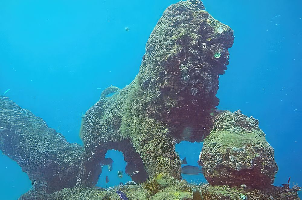 Neptune Memorial Reef, Florida - underwater cemetery and artificial reef
