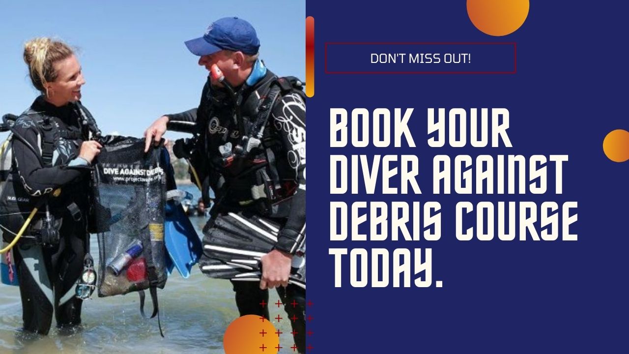 Book Your Dive Against Debris Course Today