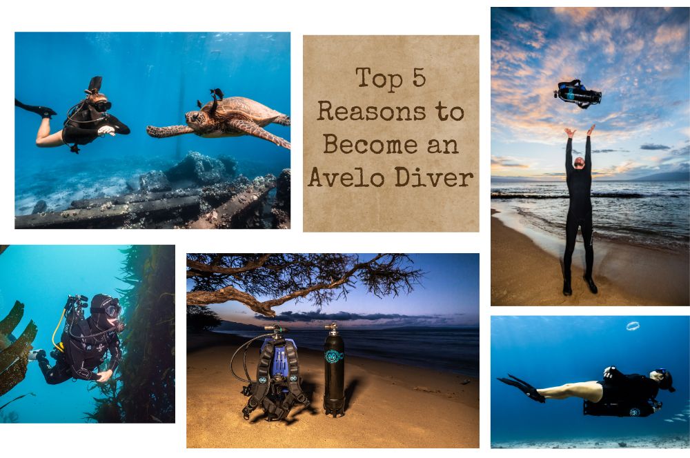 Embrace The Future Of Diving: Top 5 Reasons To Dive With Avelo | Avelo Diving