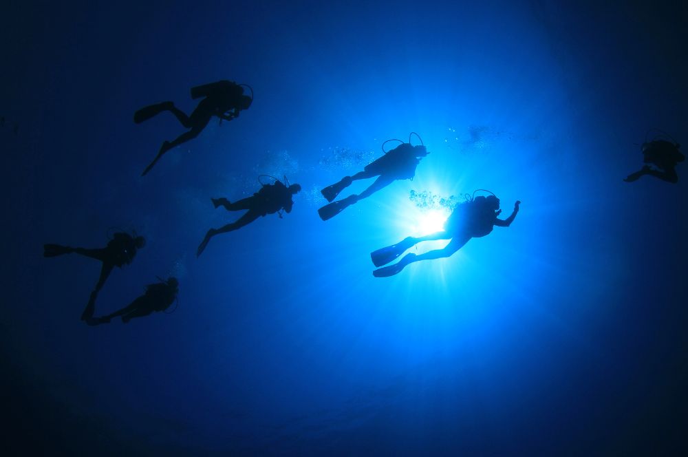 A PADI Divemaster supervising a group of certified divers on a recreational scuba diving trip