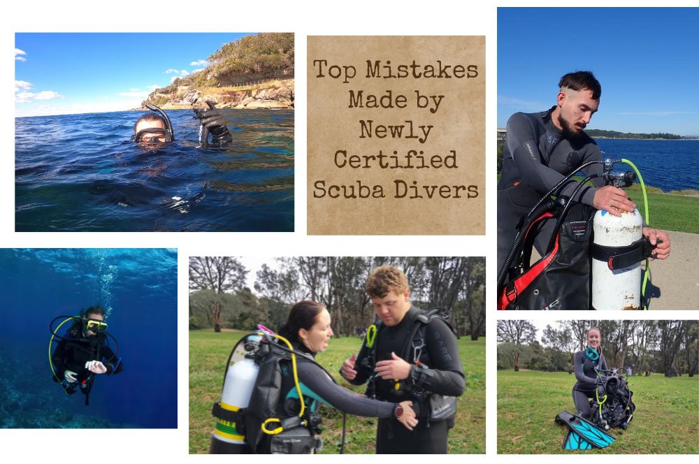 Dive Right: Top Mistakes Made By Newly Certified Scuba Divers