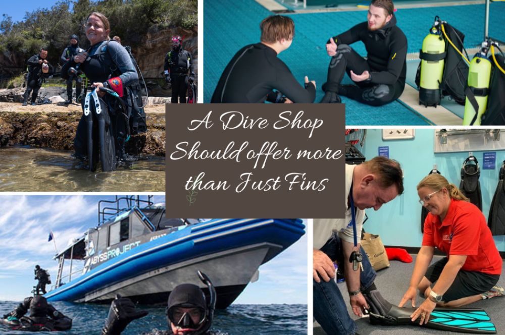 Dive shop with a variety of diving activities