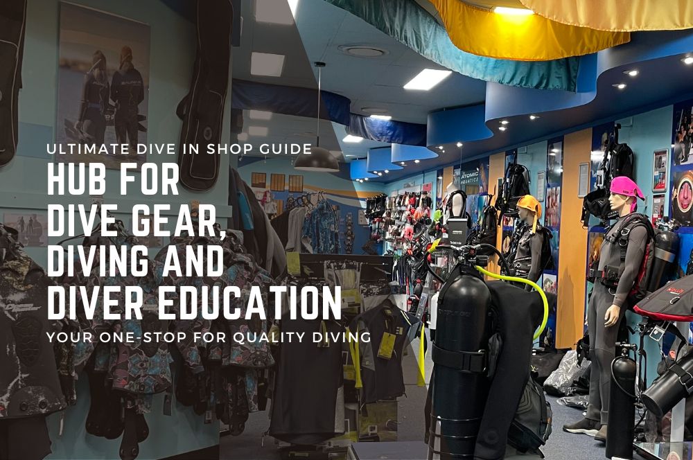 Ultimate Dive In Shop Guide: Your One-stop For Quality Diving Gear