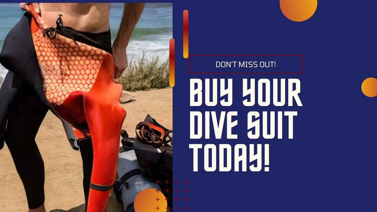 Check out our range of wetsuits