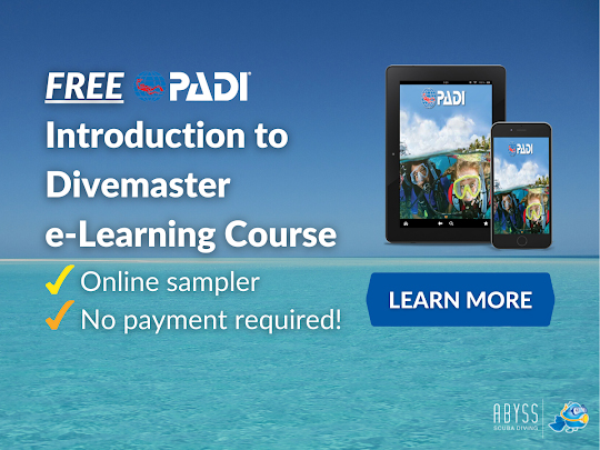 INTRODUCTION TO DIVEMASTER ELEARNING