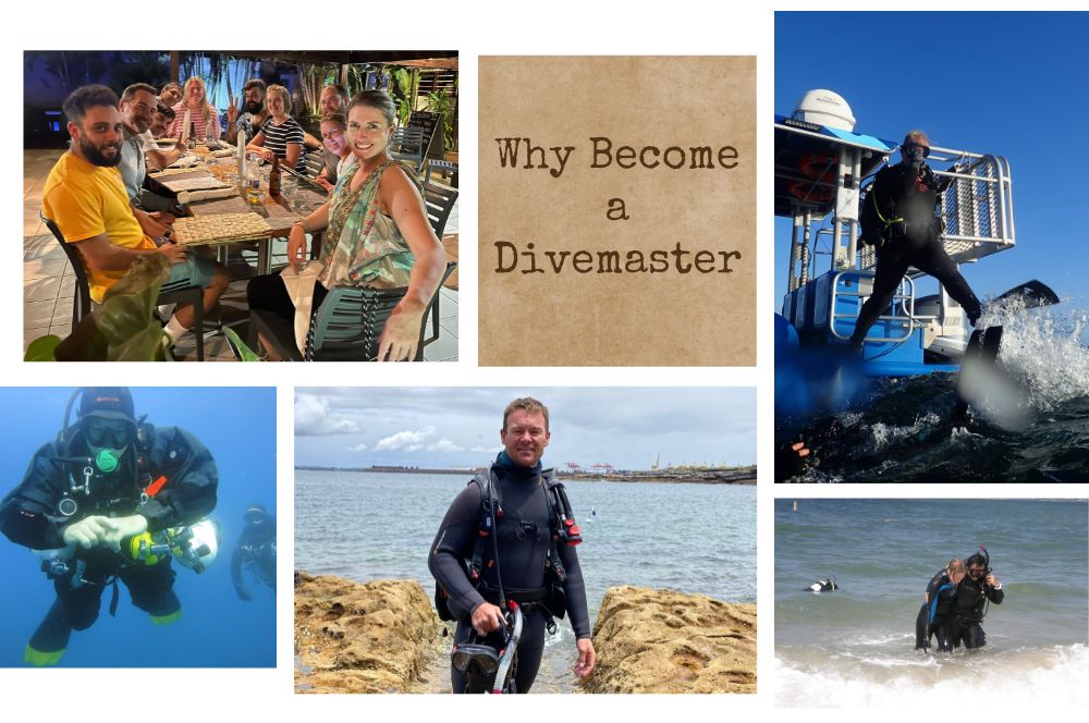 Why Go Pro? Top 19 Reasons To Take A Scuba Divemaster Course