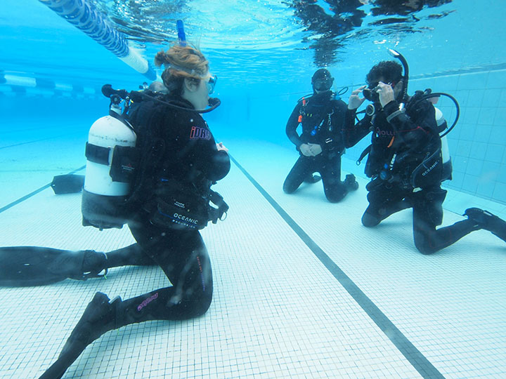 Where Should I Complete My Divemaster Training