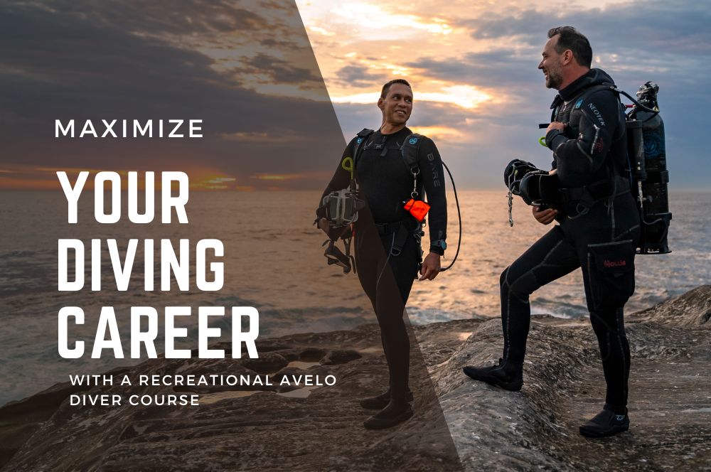 Maximize Career Potential With Recreational Avelo Diver Course | Dive Into The Future