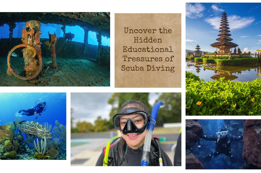 Beyond The Bubbles: Discover The Hidden Educational Benefits Of Scuba Diving