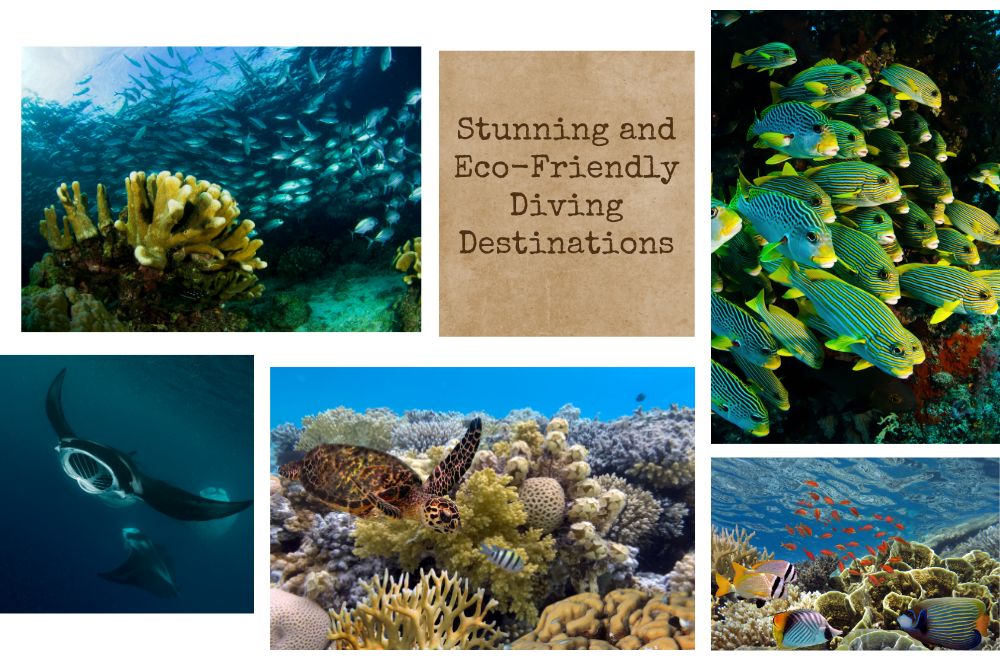 10 Stunning And Eco-friendly Diving Destinations