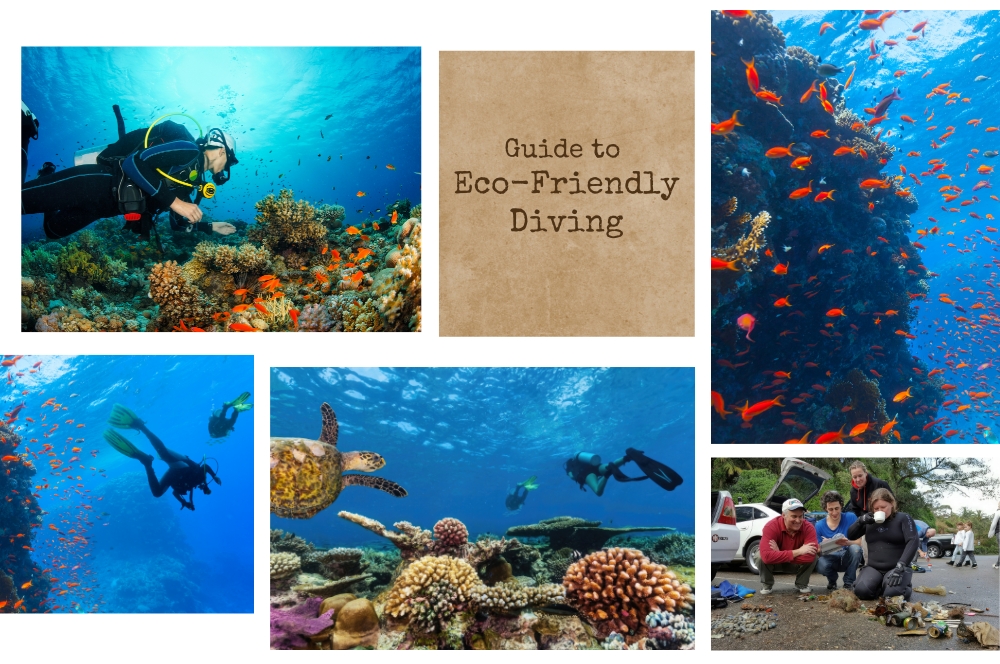 Eco-friendly Diving: The Ultimate Guide To Sustainable Underwater Adventures