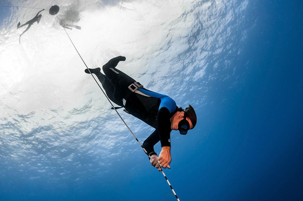 A diver freediving in the ocean with a wetsuit and fins