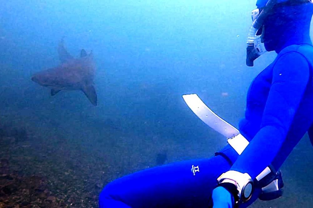A freediver with grey nurse sharks at Magic Point