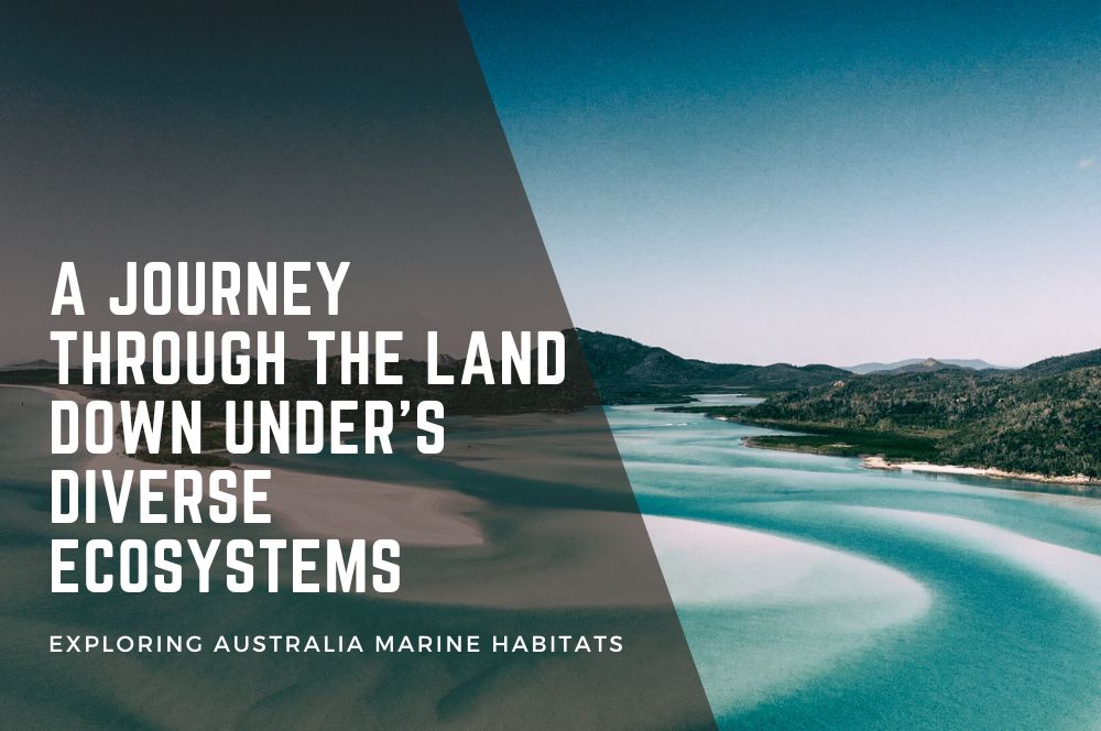 Australia's Marine Wonders: Dive Into Diverse Ecosystems