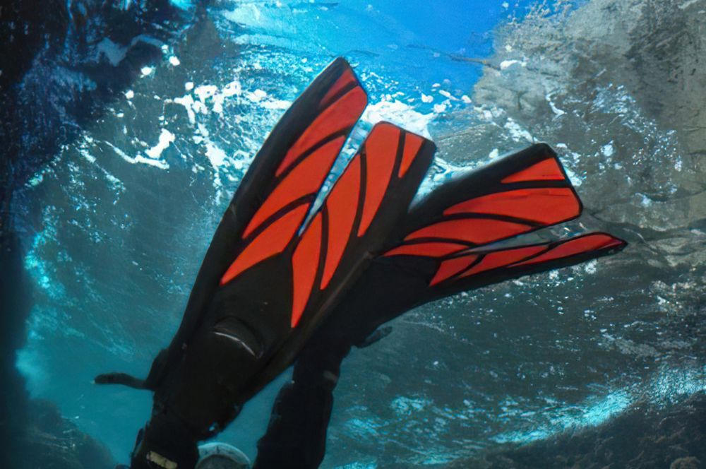 These Scuba fins are perfect for Sydney Diving conditions
