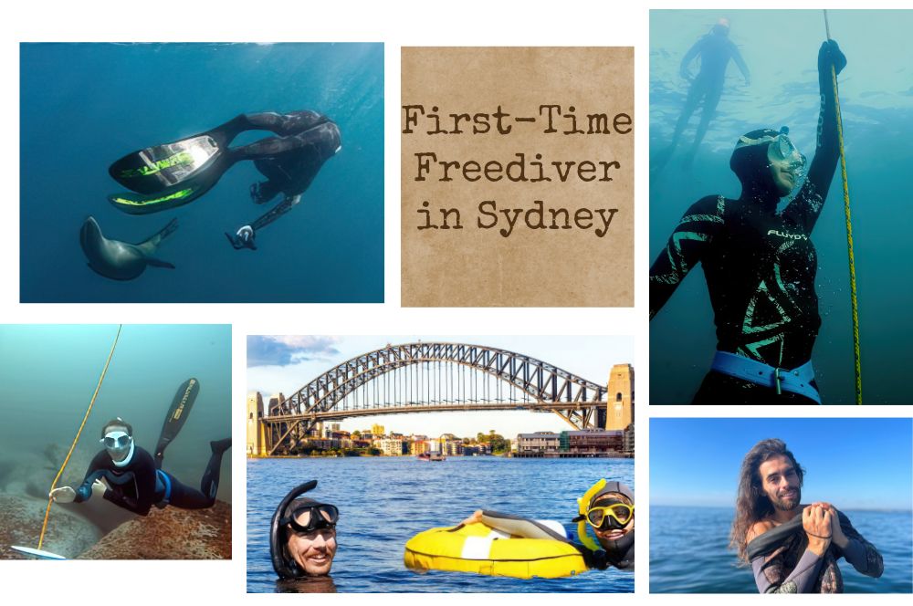 Sydney Freediving Guide | Beginner Essentials