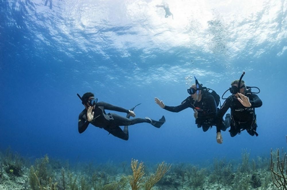 A  freediver meeting scuba diviers while diving