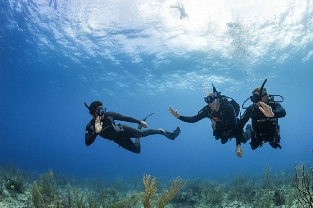 Scuba diver with a breathing apparatus meeying a freediver underwater